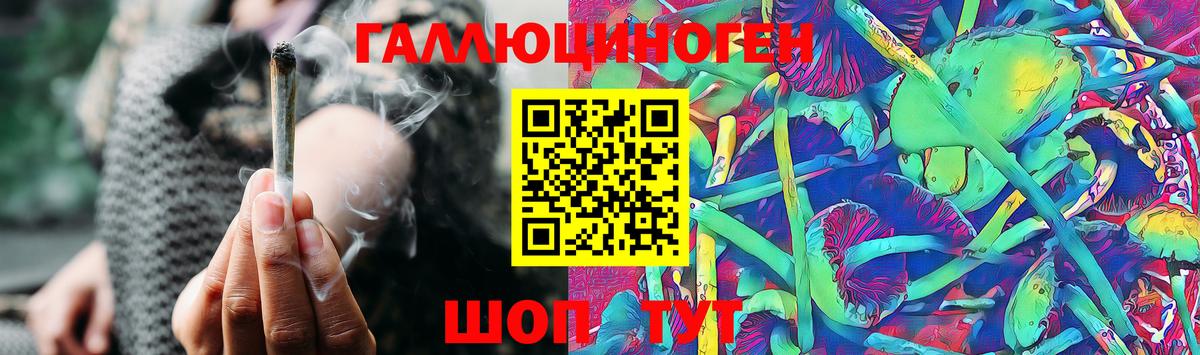 Ачинск  Псилоцибиновые грибы MAGIC MUSHROOMS  Вход с VPN  Псилоцибиновые грибы Psilocybe 